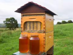 потоковый улей - позволяет откачивать мёд прямо из улья