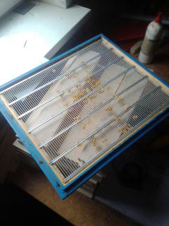 потребности пчеловодов в сетке.